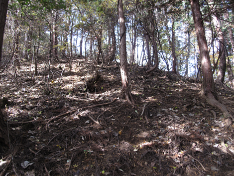20161117hike (169)
